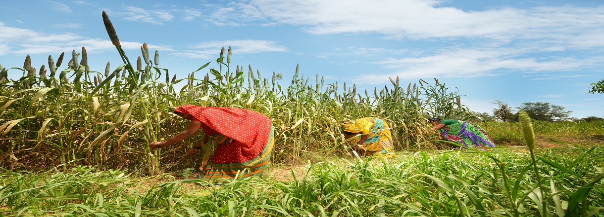 /content/dam/orbit/apollo-corporate/press/news/Apollo Tyres revenue up 59 in the 1st quarter.jpg